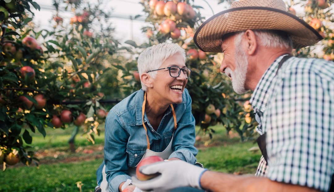 older couple in apple orchard