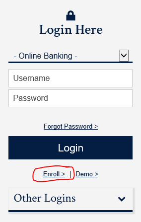 Mobile banking login