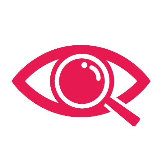 Vision Statement Icon